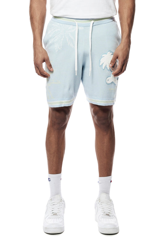 Smoke Rise (varsity jacquard knit shorts)